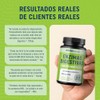 MAV Nutrition Enzimas Digestivas con Probióticos, 60 Cápsulas