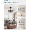 LEDIARY 18 inch Black Caged Ceiling Fan with Light, Bladeless