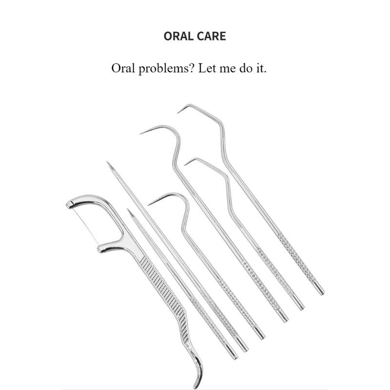 Stainless Steel Toothpick Set with Holder - Portable Teeth Cleaning