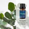 BURIBURI Eucalyptus Oil and Peppermint Essential Oil, 100% Pure, Undiluted,