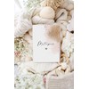 Joli Coon Maternity Log Cover German Maternity Log Cover Mamipass,