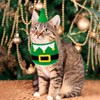 ADOGGYGO Christmas Cat Bandana Hat Set, Green Christmas Pet Bandana