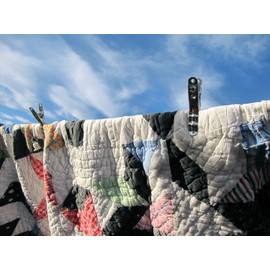 Henry Berry & Dairy Extreme Clothespins - Stainless Steel - 50 Pack