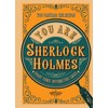 You Are Sherlock Holmes: You control the action: solve three