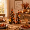 Lighted Fall Table Tree, Pumpkin Tabletop Decor for Thanksgiving Home