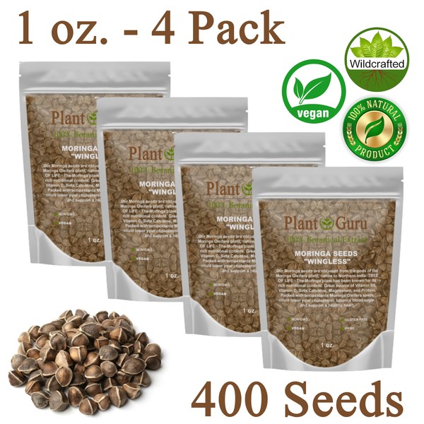 400 Moringa Oleifera Seeds 1 oz. (4 Pack) WINGLESS Fresh Semillas de Moringa