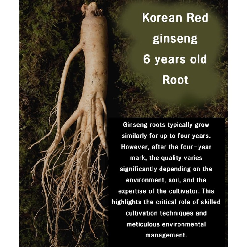 Benepisyo Korean Red Ginseng Extract One Day one Stick 10ml