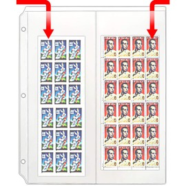 StoreSMART - Rack Cards/Envelopes Binder Page for 3-Ring Binders - Two 4 ¼" x 11" Pockets - Clear Vinyl Plastic - 50 Pack - RMC830-50