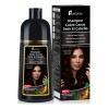 Shampoo Tinte Instantáneo Cubre Canas Natural Jengibre 500ml