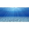 AWERT Undersea Theme Aquarium Background Sunshine Underwater World Fish Tank