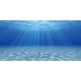 AWERT Undersea Theme Aquarium Background Sunshine Underwater World Fish Tank Background Durable Polyester Background