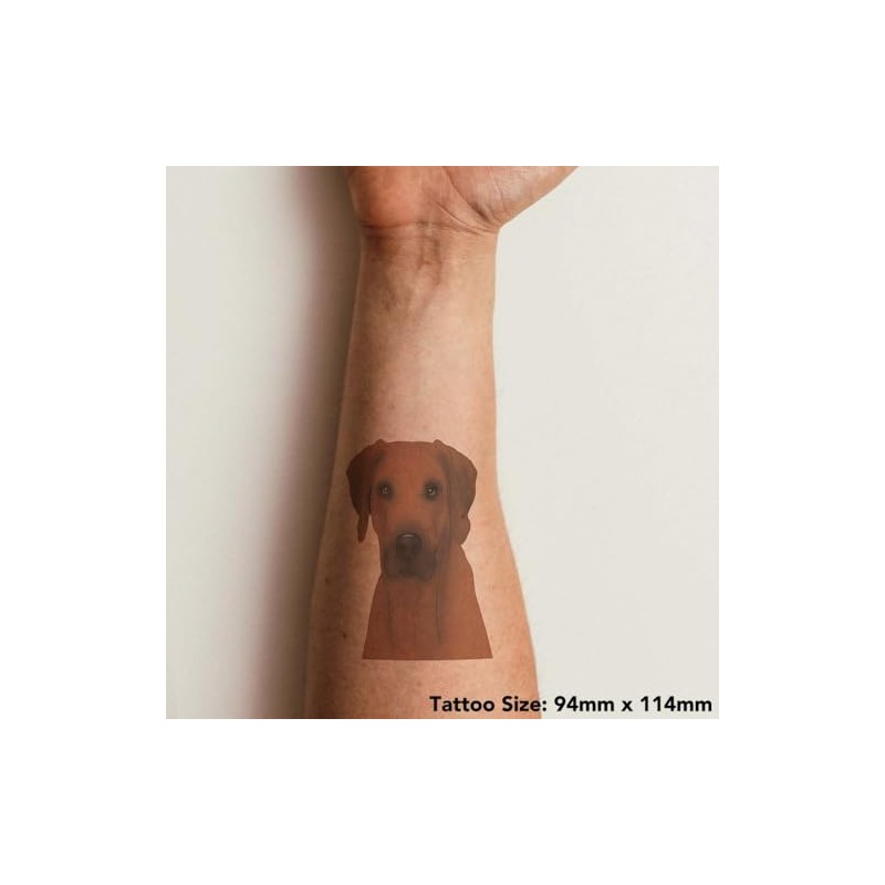 Azeeda 'Königliches Rhodesian Ridgeback-Gesicht' Temporäres Tattoo - Hautfreundlicher & Ungiftiger