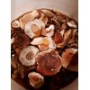 Seweryn Dried Mushrooms Porcini Borowik Szlashetny Whole Caps 40 gr
