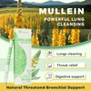 Mullein Herbal Diffuser with Marshmallow Root, Licorice Root, Thyme &