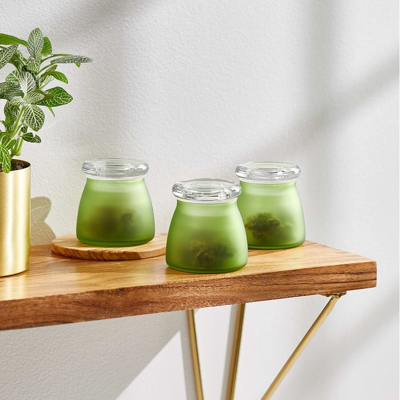 Libbey BudShield Green Storage Jar with Lid, 4.5-ounce, Set of