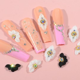Katfan 6Pcs 3D Flower Nail Art Charms Handmade Acrylic Flower Decals Nail Rhinestones Crystal Nail Supplies for Women Girls DIY Decorations Craft