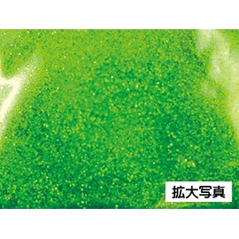 3409 PPLS Glitter Powder Decorative Paint Glitter Particles 0.3mm Assorted 10 Colors 50g