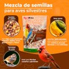 MEZCLA DE SEMILLAS P/CANARIOS Y FINCHES 500 G