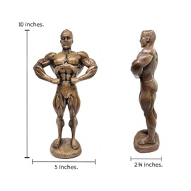 BestySuperStore Bodybuilding 10" Brown Front Lat Spread Pose Male Bodybuilder Figurine 3D Resin Muscle Man Figure Exercise Sports Decorative Figurines Souvenir Decoration Collectibles Home Decor Gifts