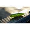 Rapala - Fishing bait precision Xtreme pencil plastic construction -