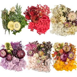 CoolCrafts 6 Color Themes Natural Dried Flowers Small Real Dry Flower for Resin, Soap Making, Greeting Cards, Craft Projects