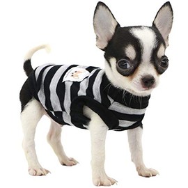 LOPHIPETS 100% Cotton Striped Dog Shirts for Small Dogs Chihuahua Puppy Clothes Tank Vest-Black and Gray Strips/XS