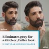 Just For Men Mustache & Beard, Beard Coloring for Gray