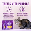 Stella & Chewy's Meowfulls Freeze Dried Cat Treats Chicken &