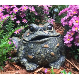 HomeStylesToad Hollow Large Toad Natural Green