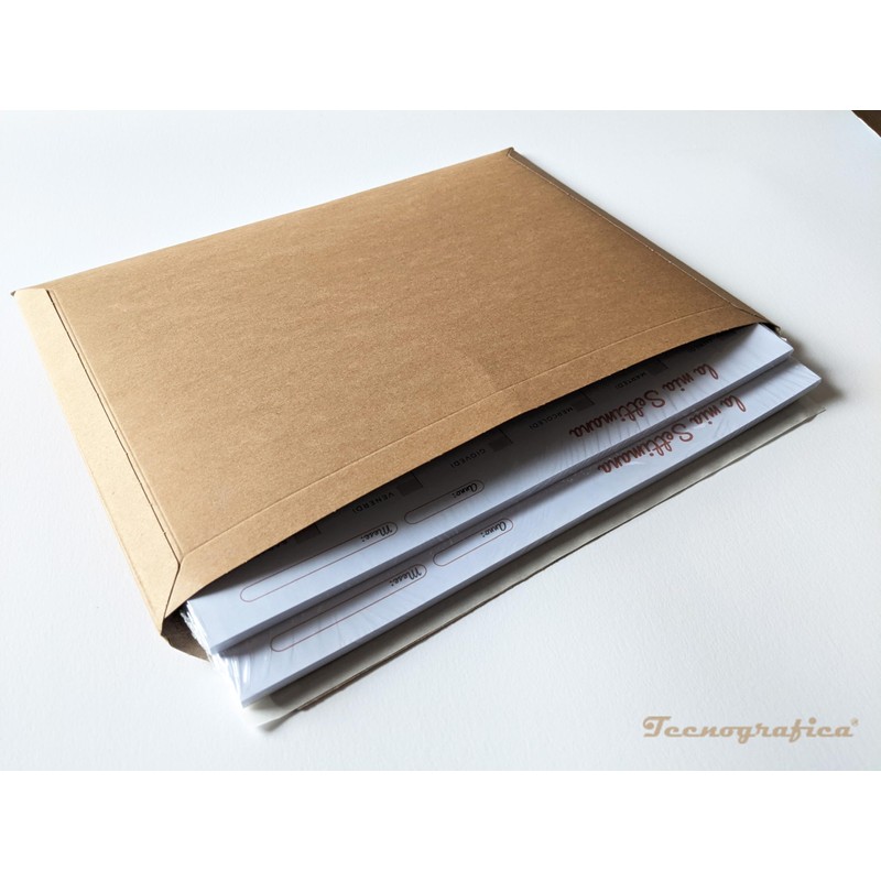 Technographic A4 Cardboard Postal Envelopes 234mm x 334mm (10)