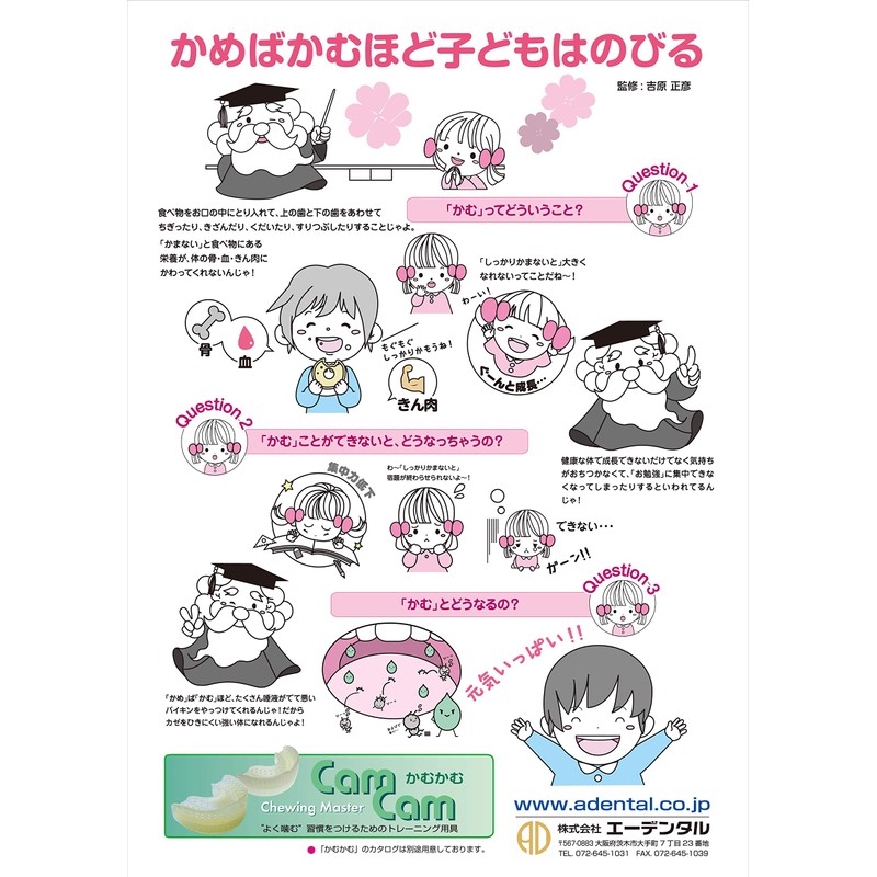 Edental Training Chewing Force (CamCam ST) Oral Exercise (Replacement)