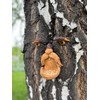 BTMIEY Old Man Tree Hugger, Amusing Unique Bird Feeders for