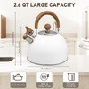 Whistling Tea Kettle for Stovetop, 2.5L Stainless Steel Tea Pot