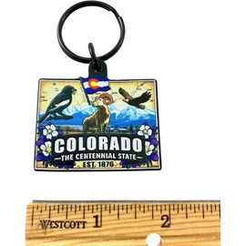 Llavero de Colorado Centennial State Souvenir con mapa e imágenes de bandera Diseño de llavero acrílico, construcción ligera, gran regalo para viajeros o nativos de Colorado