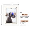 White 5x7 Picture Frames Set of 2 Display Pictures 4x6