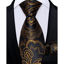 DiBanGu Boys Pre-Tied Neckties and Pocket Square Set Adjustable Strap Tie for Kids Wedding Party Graduation School Uniforms, Black Gold, One Size