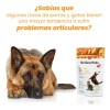 Suplemento Alimenticio Para Perros/gatos Con Colágeno 70g