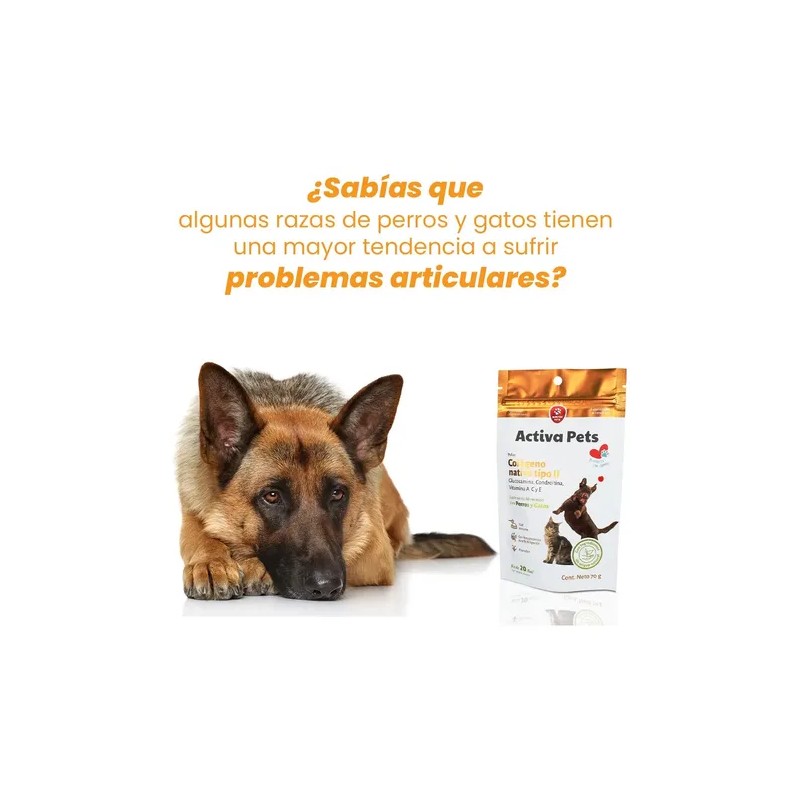 Suplemento Alimenticio Para Perros/gatos Con Colágeno 70g