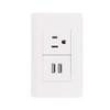 Sanelec 4466 Contacto 2 Entradas USB, Aterrizado con Placa, color