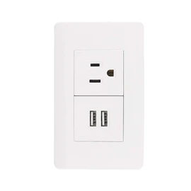 Sanelec 4466 Contacto 2 Entradas USB, Aterrizado con Placa, color Blanco