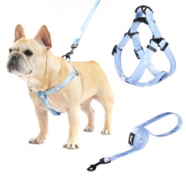 PUPTECK No Pull Dog Harness Soft Adjustable Basic Nylon Step in Puppy Vest Outdoor Walking with Leash