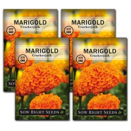 Sow Right Seeds Crackerjack Marigold Seeds - Full Instructions for Planting, Beautiful to Plant in Your Flower Garden; Non-GMO Heirloom Seeds; Wonderful Gardening Gift (4)
