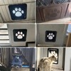 PETLESO Large Dog Door for Screen Door, Easy Install Lockable