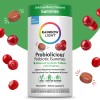Rainbow Light Probiolicious Probiotic Gummies – 50 Vegan Gummies for Digestive & Immune Health with Natural Fruit Flavor