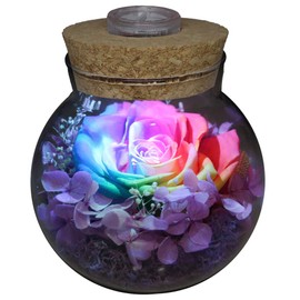 roliys Preserved Real Roses with Colorful Mood Light Wishing Bottle,Eternal Rose，Never Withered Flowers,for Bedroom Party Table Decor, Christmas Anniversary,Valentine's,Mother's Day, (Multi)