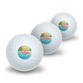 Graphics and More Flamingo Novelty Golf Balls 3 Pack