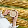 Corn Blanket Funny Food Throw Blanket for Sofa Chairs Bed,