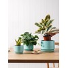 LE TAUCI LE TAUCI Ceramic Plant Pots, 4.3+5.3+6.8 inch, Set