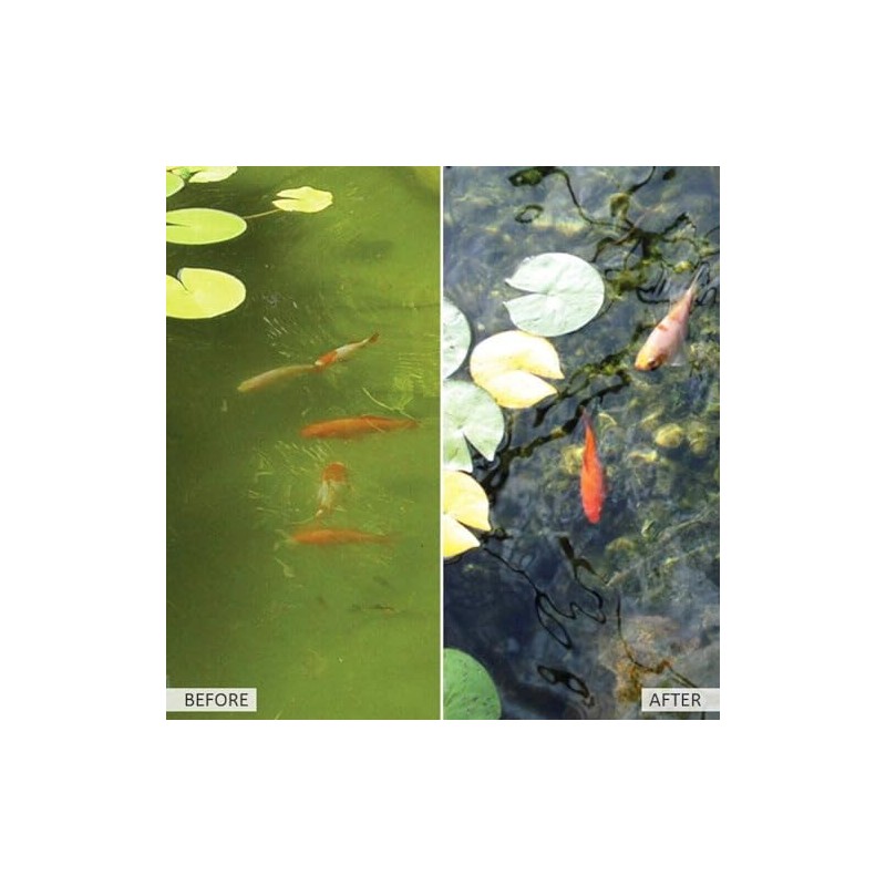 Kleeneze Pond Clarifier, 100g - All Natural and Microbial Based