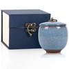 Small Urns for Human Ashes,Ceramic Memorial Mini Ashes Urns,Hold 5.5